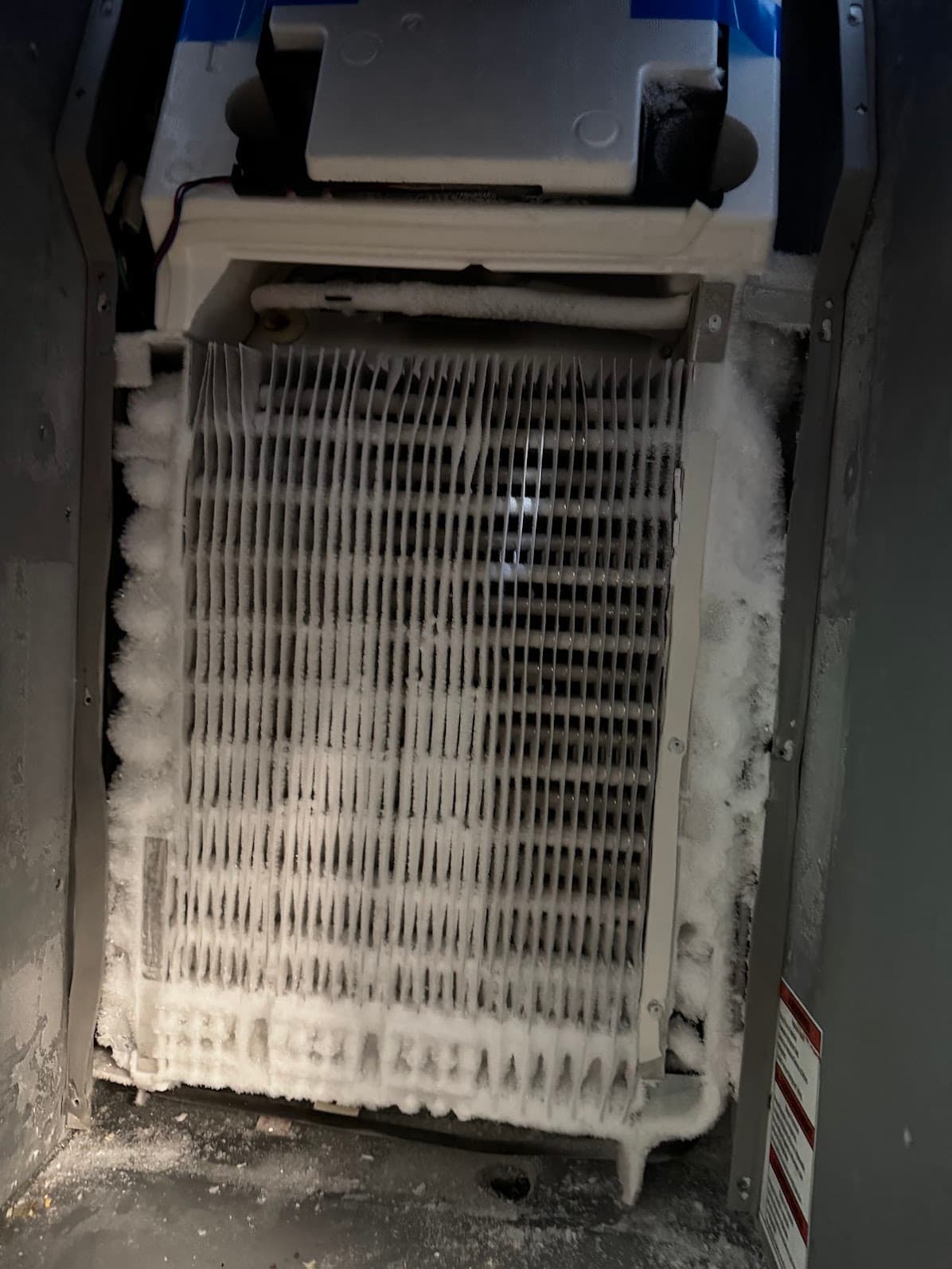 Freezer evaporator coils with ice buildup before defrost repair